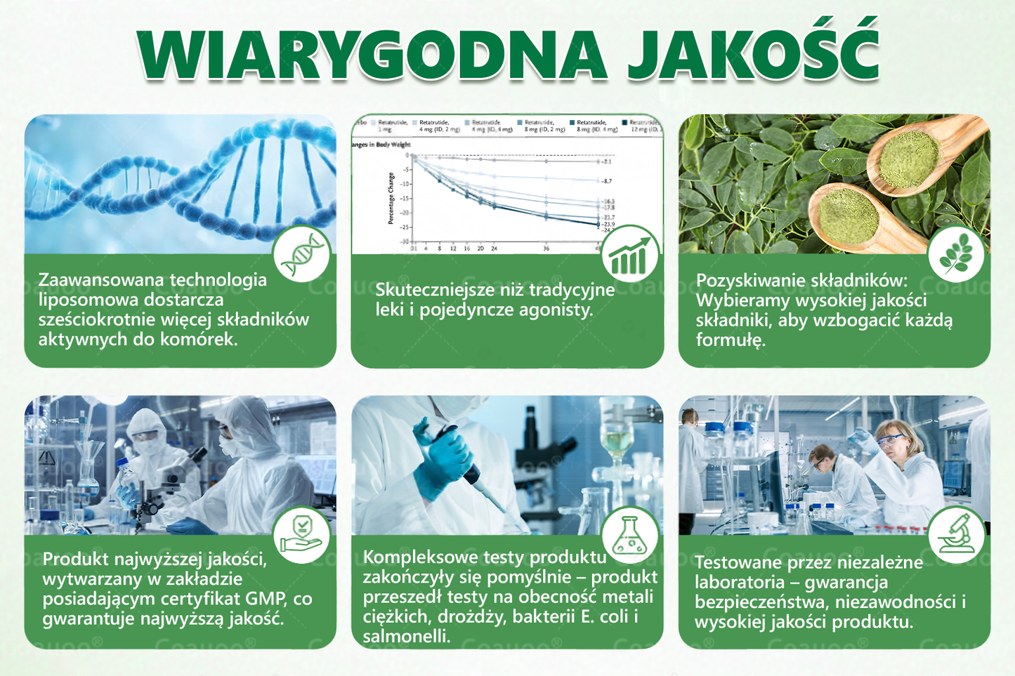 𝐂𝐨𝐚𝐮𝐨𝐨® Moringa × Berberyna × AMPK 10-w-1 Wsparcie metaboliczne, plaster z nanotechnologią mikroigłową  (Wystarczy raz dziennie, widoczne efekty w 7 dni) ✅ Na otyłość, wiotką skórę, cukrzycę, bezdech senny, problemy ze stawami i wiele innych ✨