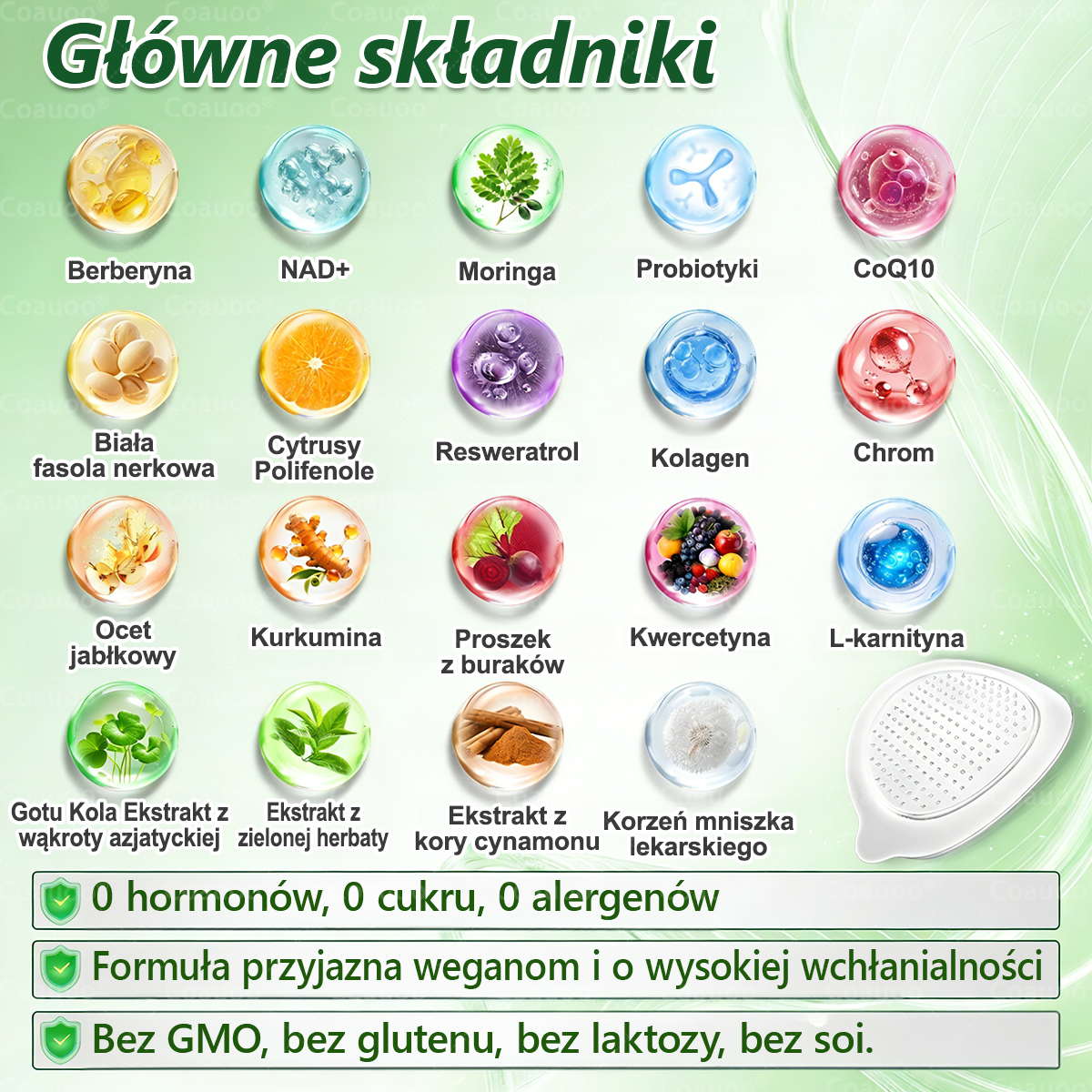 𝐂𝐨𝐚𝐮𝐨𝐨® Moringa × Berberyna × AMPK 10-w-1 Wsparcie metaboliczne, plaster z nanotechnologią mikroigłową  (Wystarczy raz dziennie, widoczne efekty w 7 dni) ✅ Na otyłość, wiotką skórę, cukrzycę, bezdech senny, problemy ze stawami i wiele innych ✨